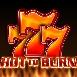Play the Hot To Burn slot by Pragmatic Play on Malina Casino